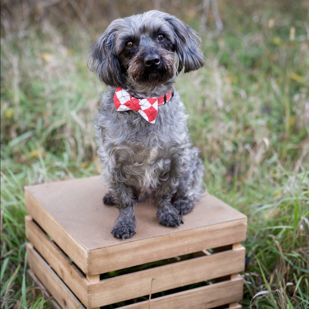 Meet your posher, Marja